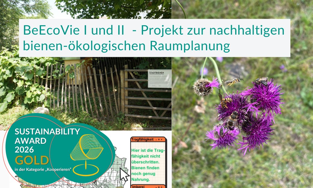 BeEcoVie I und II - Projekt zur nachhaltigen bienen-ökologischen Raumplanung. Fotos von violetter Blume und Holzzaun.